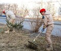 Названа дата общегородского субботника во Владивостоке